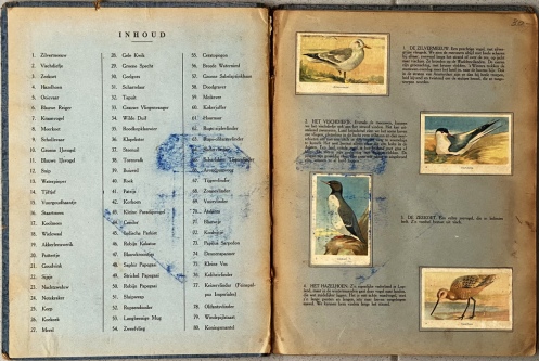 (PLAATJESALBUM). NOOIJ, Simon - Vogels en insecten. Verzamel-album van plaatjes uit het Vogel- en Insectenleven. Met leerzame beschrijving.